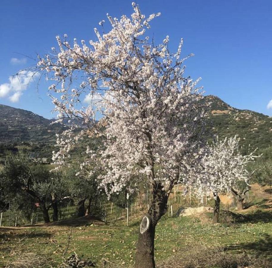 Villa Agriturismo Su Barraccu à Loceri Extérieur photo